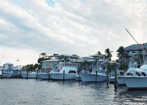 Read more about the article 10 Places with the Best Fishing in Florida