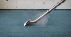 Read more about the article Top 8 Carpet Cleaners near Naples, FL