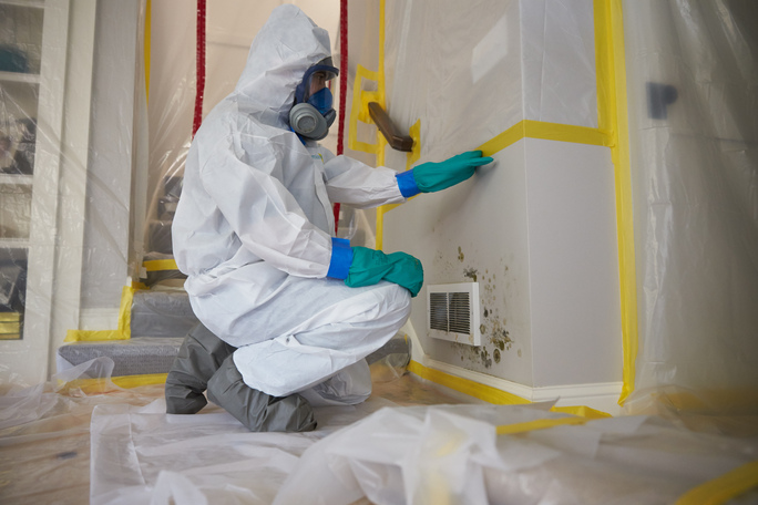 You are currently viewing Why Hire a Professional Mold Remediation Company in Florida?